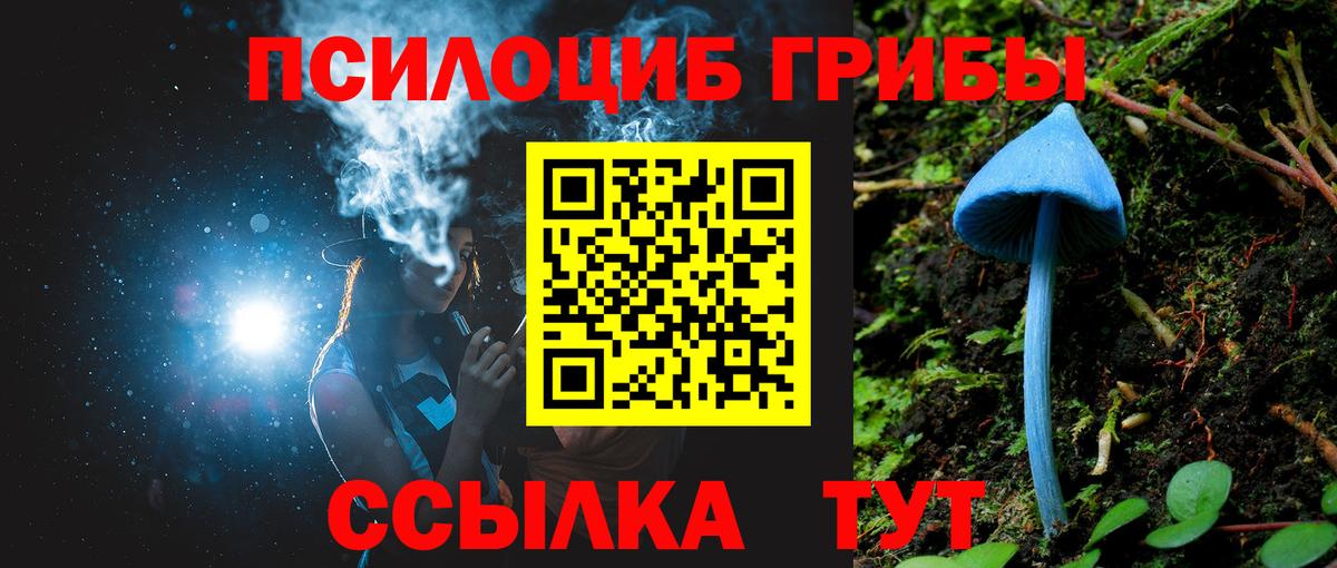 Клин  Псилоцибиновые грибы GOLDEN TEACHER  наркота  Вход с VPN 